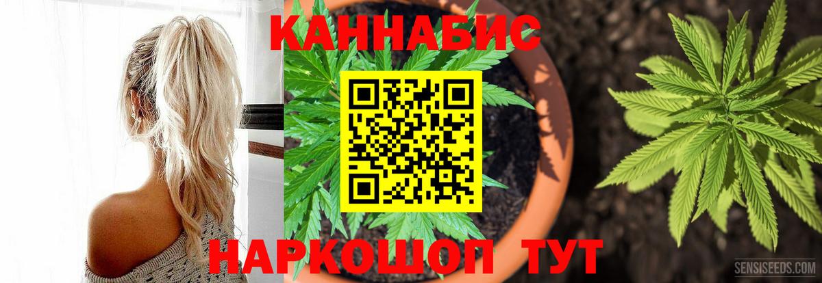 Конопля THC 21%  Конопля White Widow  Вход с VPN  Каннабис конопля  Братск  МАРИХУАНА планчик 